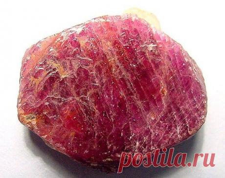 Рубин.
Рубин считается самым дорогостоящим камнем, в древние времена ему по стоимости уступал даже алмаз. Он достойно занимает свое положение среди всех драгоценных камней, относится к минералам, является разновидностью корунда красного цвета. 
В природе не встречаются рубины с одинаковым цветом. Камень играет со всеми оттенками красного. Бывают корунды светло-розовые, малиновые, ярко-красные, красные с фиолетовым отливом, коричневые. 
Самыми ценными считаются драгоценные ...