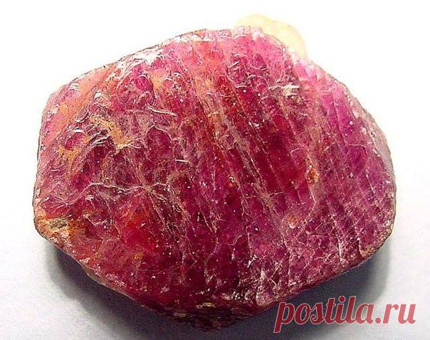 Рубин.
Рубин считается самым дорогостоящим камнем, в древние времена ему по стоимости уступал даже алмаз. Он достойно занимает свое положение среди всех драгоценных камней, относится к минералам, является разновидностью корунда красного цвета. 
В природе не встречаются рубины с одинаковым цветом. Камень играет со всеми оттенками красного. Бывают корунды светло-розовые, малиновые, ярко-красные, красные с фиолетовым отливом, коричневые. 
Самыми ценными считаются драгоценные ...