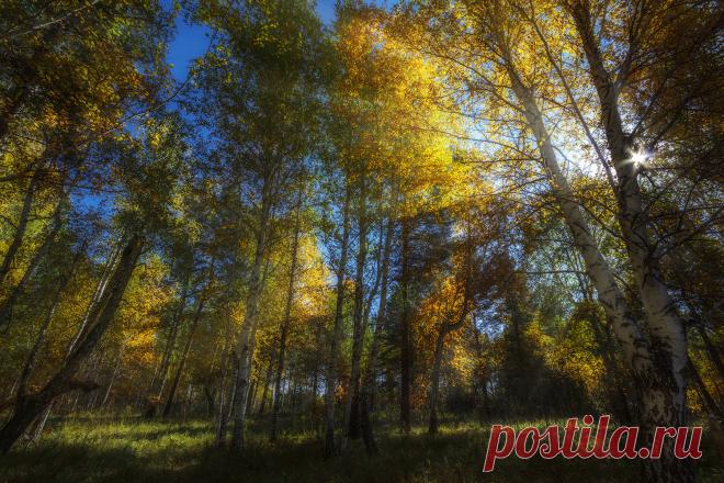 осени пожар