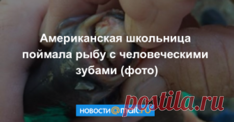 Американская школьница поймала рыбу с человеческими зубами (фото) И та ее даже пару раз укусила.