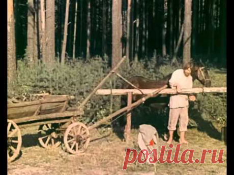 Синюшкин колодец (1978) фильм смотреть онлайн Илюха-старатель мечтает найти свое счастье. В результате он выясняет, что оно не в деньгах, а в доброте и любви...По одноимённому сказу Павла Бажова.Мы знаем...