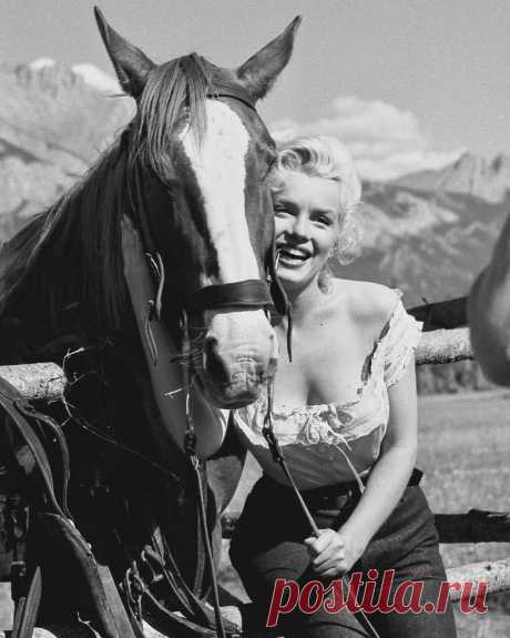 Marilyn Monroe on the set of River of No Return, 1954 Explore Tommy’s Mag.'s photos on Flickr. Tommy’s Mag. has uploaded 6150 photos to Flickr.