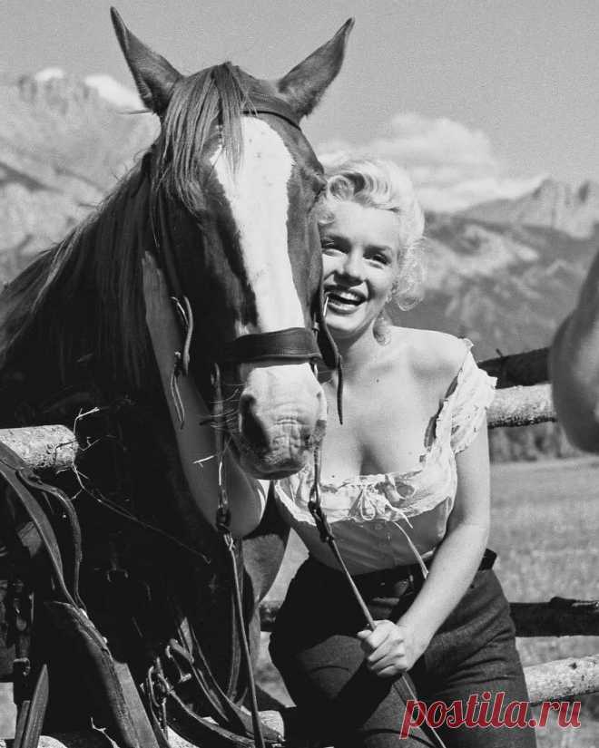 Marilyn Monroe on the set of River of No Return, 1954 Explore Tommy’s Mag.'s photos on Flickr. Tommy’s Mag. has uploaded 6150 photos to Flickr.