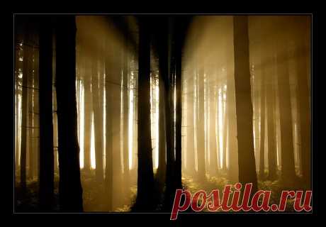 Rays in the Dark