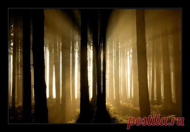 Rays in the Dark