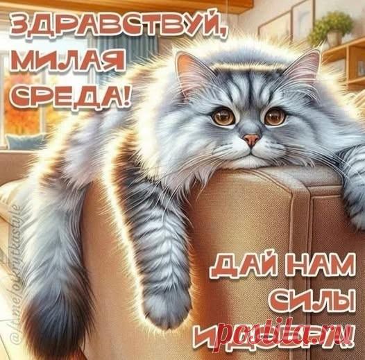 cd06bbe2.jpg (526×519)