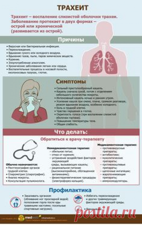(675) Pinterest