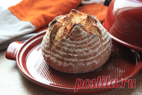 Наука хлебопечения от Ирины Сурукиной. Техника и рецепты | HomeBaked