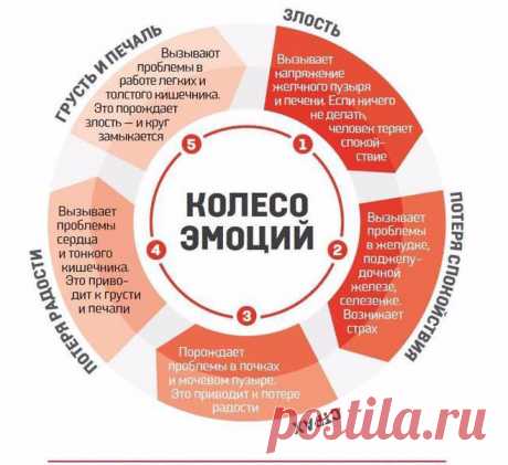 Эмоциональные причины болезней Экология здоровья: Эмоции это эмоциональные стимулы, которые влияют на нашу эмоциональную жизнь. На обычном уровне они не вызывают болезней. Почти никто не может исключить из своей жизни гнева, грусти, тревоги и страхов, и они случаются иногда в жизни, но эти состояния не должны приводить к дисгармонии. К примеру, смерть близких вызывает естественное чувство печали.
