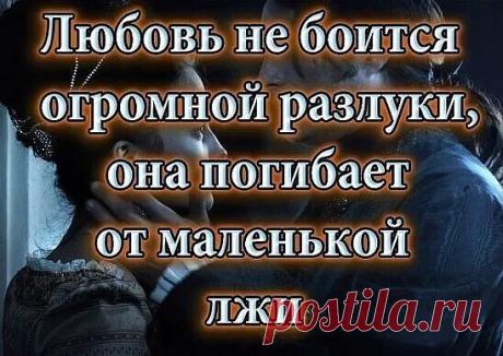 #Статусы_Цитаты_Афоризмы_В
