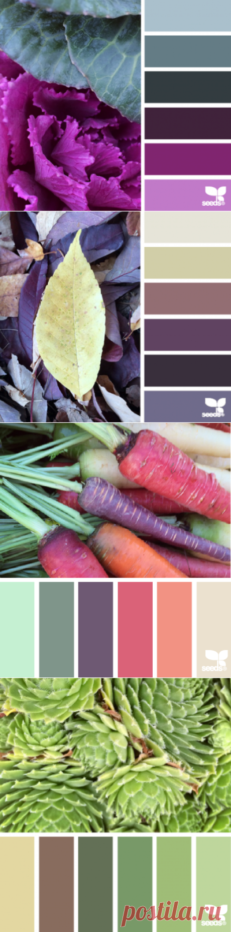 design seeds | for all who ♥ color