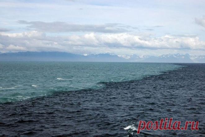 10 таинственных фактов об океане, которые никого не оставят равнодушными / Туристический спутник