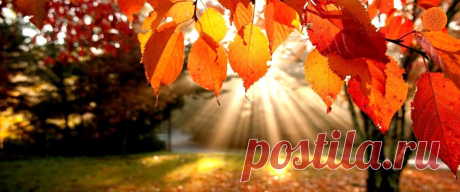 Вы искали уроки фотографии - Блог Comfy