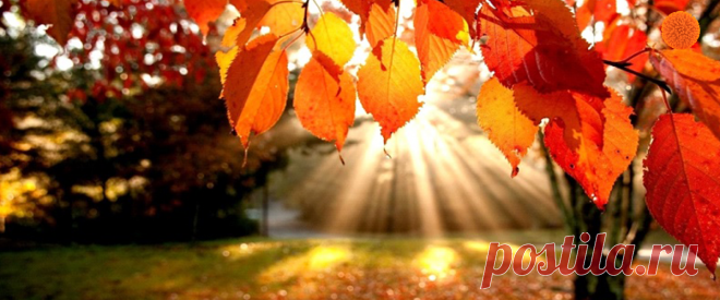 Вы искали уроки фотографии - Блог Comfy