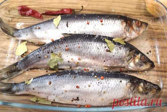 Солёная селёдка в домашних условиях – быстро и очень вкусно