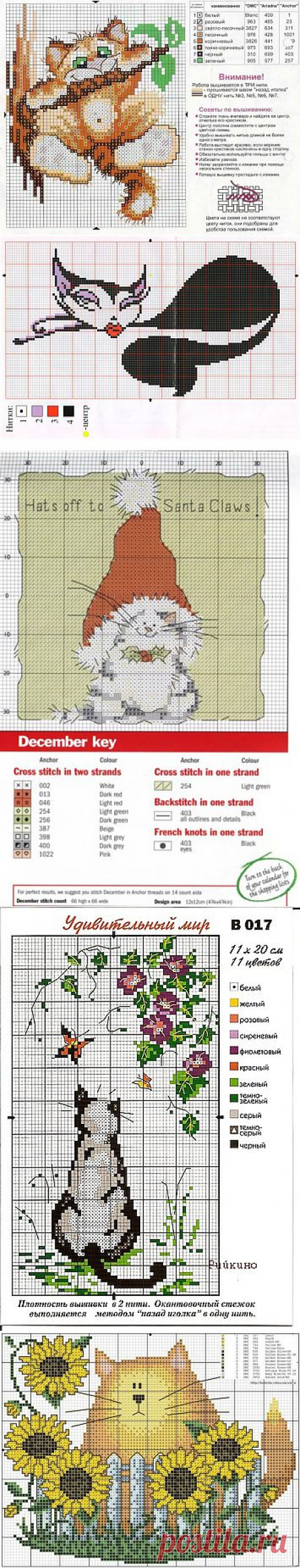 kiyashko_1964@mail.ru - Почта Mail.Ru