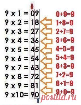 То, чему учителя нас никогда не учили | thePO.ST