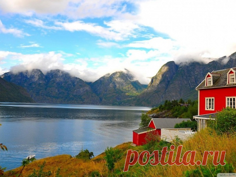 Поиск в Google