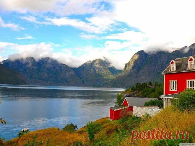 Поиск в Google