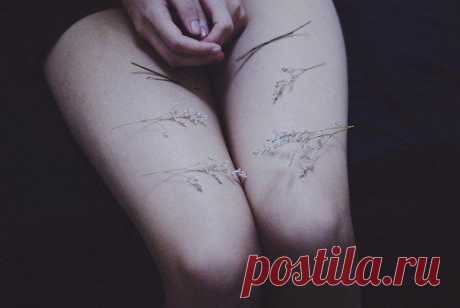 У людей уже не хватает времени что-либо узнавать. Они покупают вещи готовыми в магазинах.
Но ведь нет таких магазинов, где торговали бы друзьями, и потому люди больше не имеют друзей.
Антуан де Сент-Экзюпери. Маленький принц