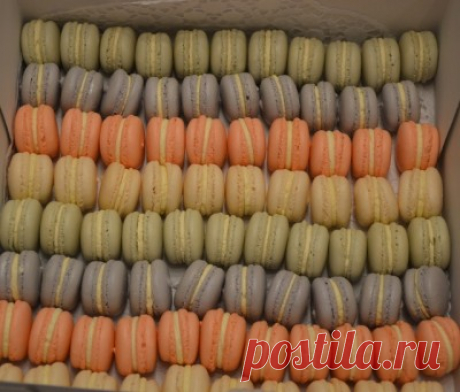 Macarons : Торты, пирожные