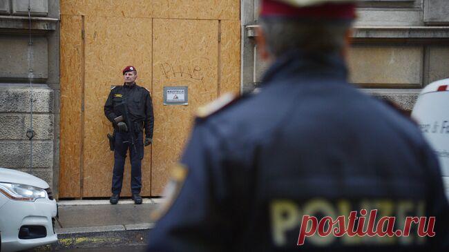 В Вене задержали девушек, совершавших поджоги от скуки