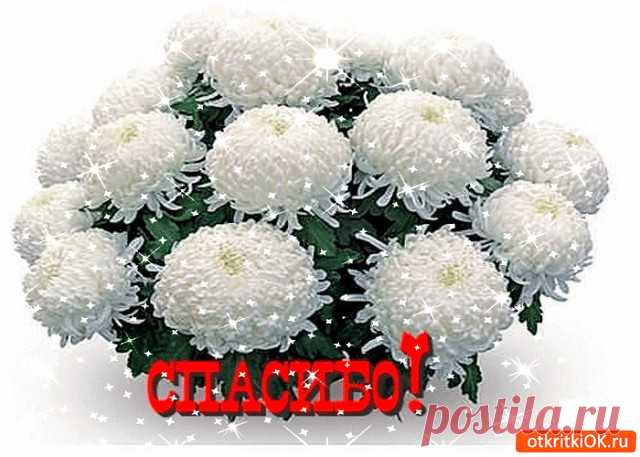 Одноклассники