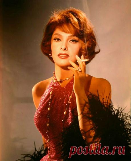 Gina Lollobrigida