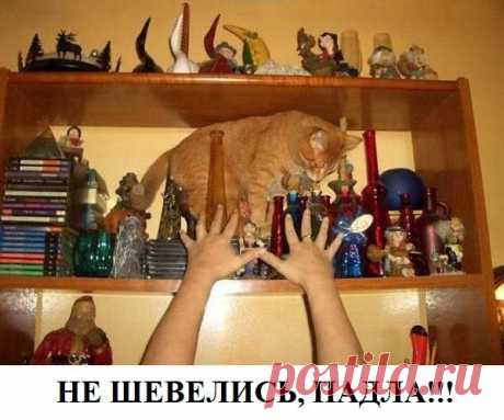 Чёткие анекдоты Для Взрослых смеемся от Души))))) — Картинки из тем | OK.RU