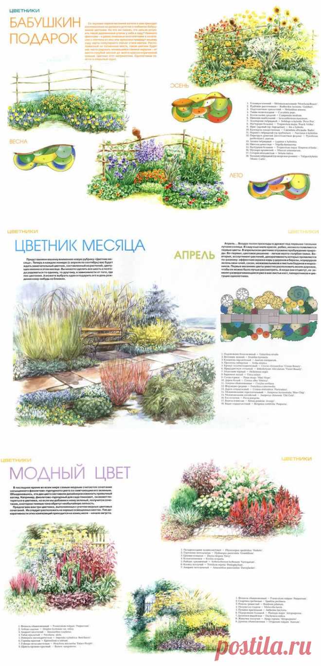 Цветники на даче - виды цветников.