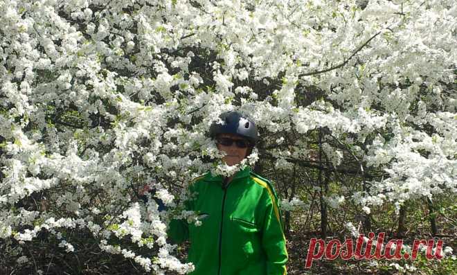 ЧОТИРИ СЕЗОНИ У ГОЛОСІЇВСЬКОМУ ЛІСІ
Часи року - це чотири дивовижних сезону, кожен неповторний і чарівний по - своєму. Пробуджує живий світ весна, пахуче літо, граціозна осінь і сувора зима. Природа в усі пори року неймовірно красива, немов казкова принцеса, приміряє різний одяг.