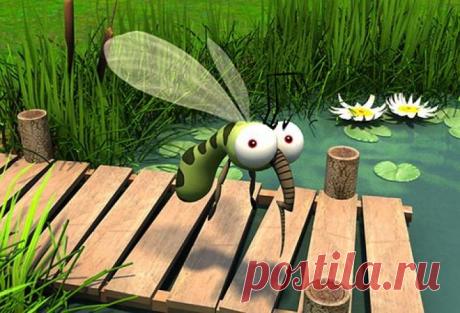 Чудодейственное средство от комаров | Женские секреты