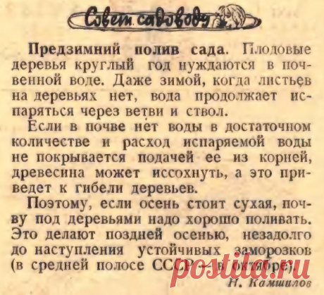 Предзимний полив сада