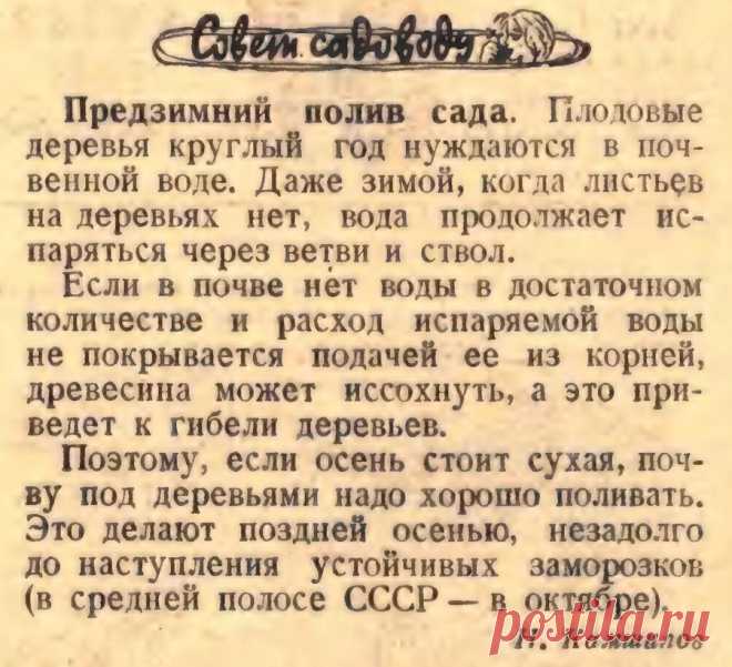 Предзимний полив сада