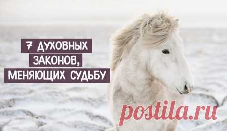 7 ДУХОВНЫХ ЗАКОНОВ, МЕНЯЮЩИХ СУДЬБУ ~ Трансерфинг реальности