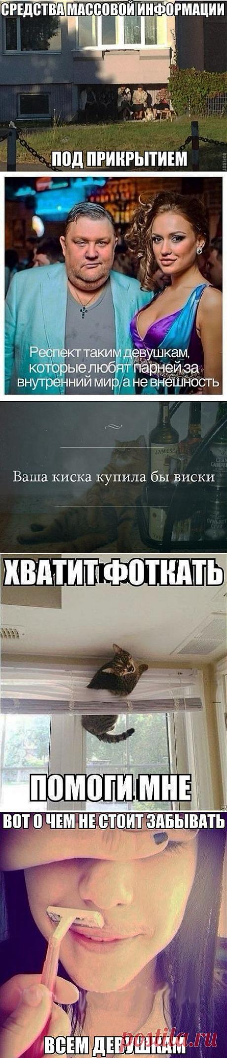 Прикольные картинки на злобу дня))) | ОБОРЖАКА ;)