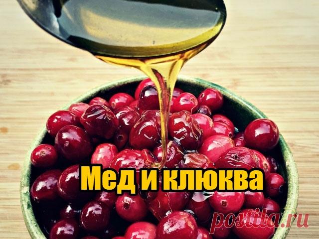 Мед и клюква — отличное средство от давления