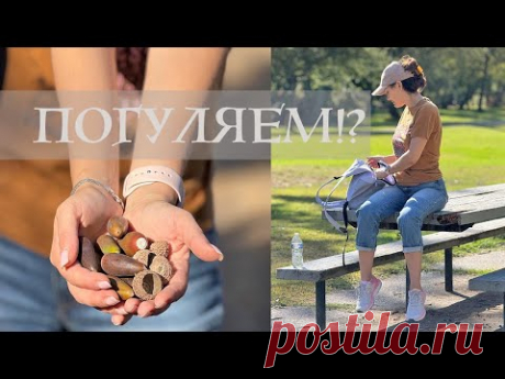 На прогулку в поисках природных материалов для работы / DIY TSVORIC