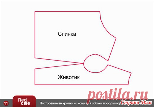 Построение индивидуальной выкройки для собаки (вариант № 2) - Гардероб для наших любимых питомцев (собак, кошек)