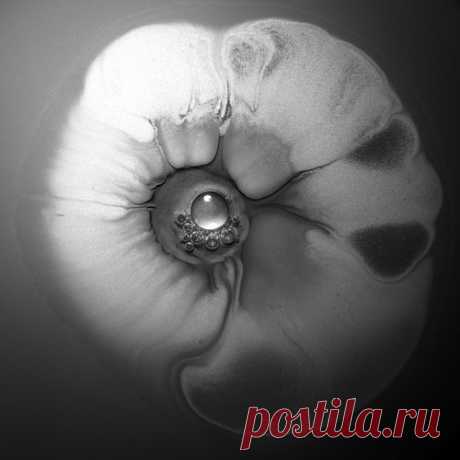 Download Floating Points - Ocotillo - Musicvibez Label Ninja Tune Styles Electronica Date 2024-08-22 Catalog # ZENDNL303C Length 8:43 Tracks 1