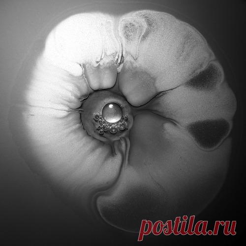 Download Floating Points - Ocotillo - Musicvibez Label Ninja Tune Styles Electronica Date 2024-08-22 Catalog # ZENDNL303C Length 8:43 Tracks 1