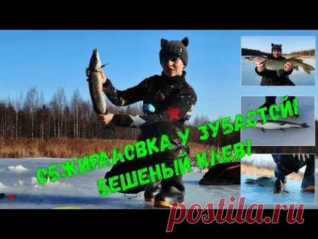 ЖОР ЩУКИ! Зубастая на балансиры и жерлицы. БЕШЕНЫЙ КЛЁВ! #87