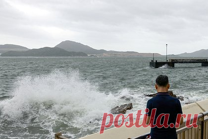 В Китае кита выбросило на берег из-за стихийного бедствия. В Китае из-за тайфуна «Талим» на берег выбросило кита, несколько автомобилей оказались повреждены упавшими деревьями, а улицы затоплены. Тайфун обрушился на провинцию Гуандун вечером 17 июля. За ночь он дошел до залива Бейбу, а к 18 июля переместился в южную часть Гуанси.