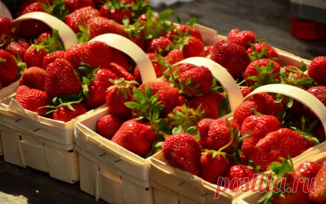 Как сохранить клубнику на зиму: проверенные рецепты для вкусных запасов