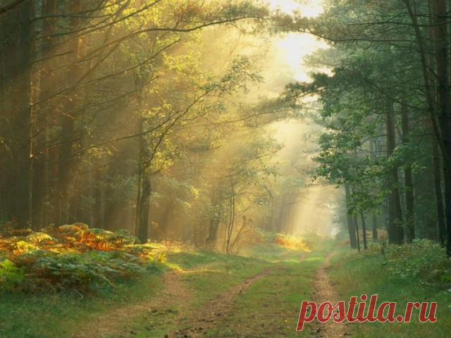 Пастернак Борис 