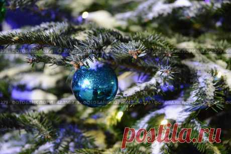 Ёлочное украшение, новогодний шар на ветвях ёлки Стоковое фото, фотограф Ilaronsia / Фотобанк Лори