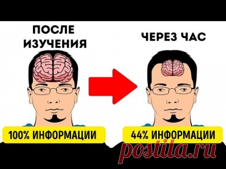 11 Секретов, Чтобы Запоминать Все Быстрее Остальных