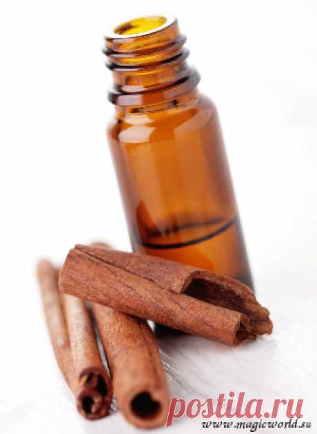 Корица - польза и применение этой удивительной специи