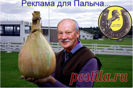 Шоу-мен Валерий Ульянов (Палыч) отмечен Володей Рахимовым