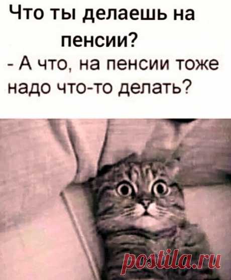 Юмор ч.15 – Блог. Run, пользователь Марина Николаева | Группы Мой Мир